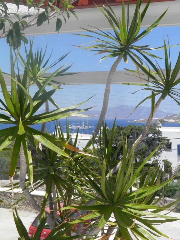 Anastasios Sevasti Hotel Mykonos Town Екстериор снимка